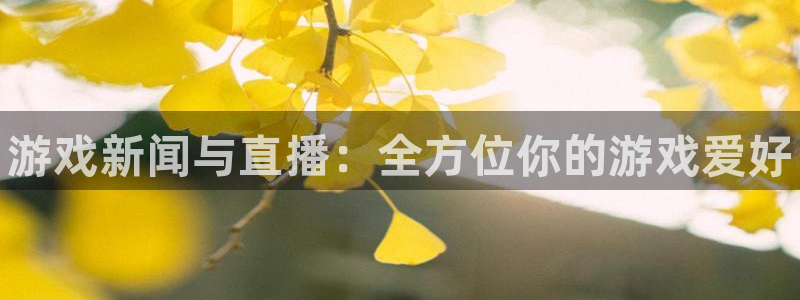 辉达娱乐app下载地址：游戏新闻与直播：全方位你的游戏爱好