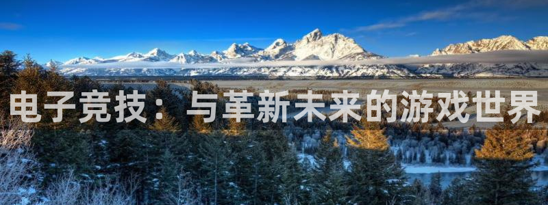 辉达娱乐注册网站：电子竞技：与革新未来的游戏世界