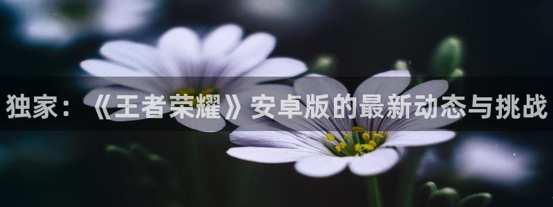 辉达娱乐网页登录入口下载：独家：《王者荣耀》安卓版的最新动态