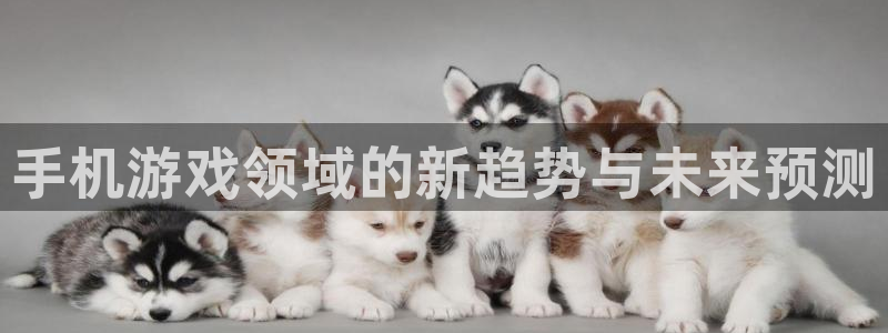 辉达娱乐升级5994月：手机游戏领域的新趋势与未来预测