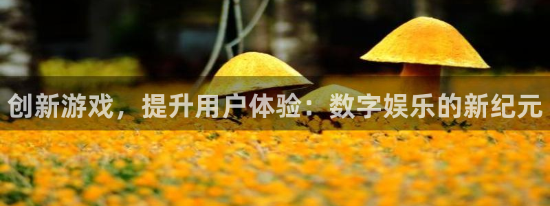 辉达娱乐注册平台：创新游戏，提升用户体验：数字娱乐的新纪元