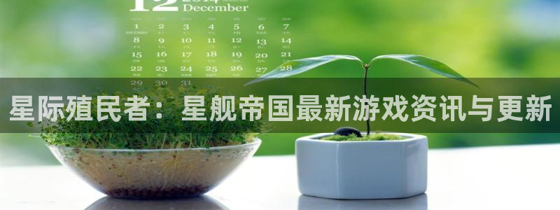 辉达娱乐app下载地址：星际殖民者：星舰帝国最新游戏资讯与更