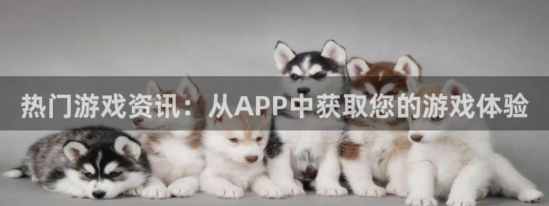 辉达娱乐注册开户：热门游戏资讯：从APP中获取您的游戏体验