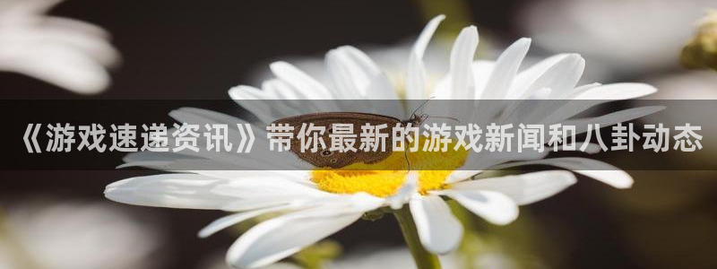 辉达娱乐登陆测速：《游戏速递资讯》带你最新的游戏新闻和八卦动