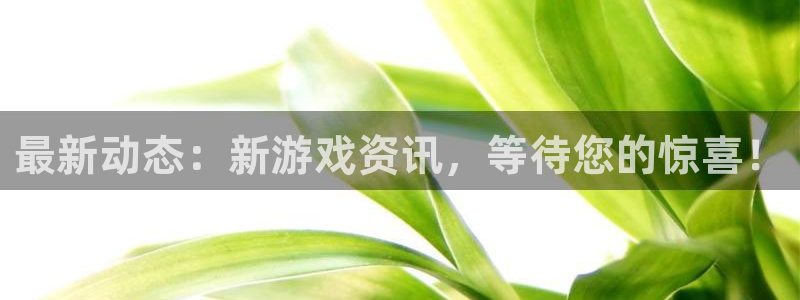 沐春辉达娱乐：最新动态：新游戏资讯，等待您的惊喜！